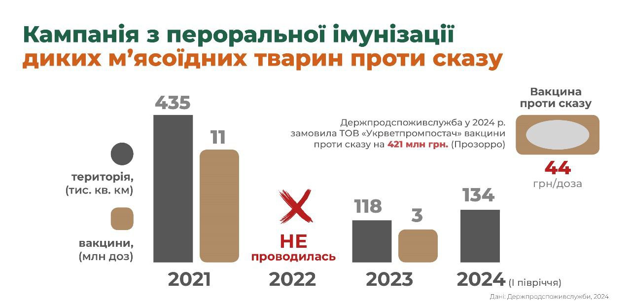 Число лисиць в Україні зросло вп'ятеро: чим це небезпечно і як впливає на поширення сказу